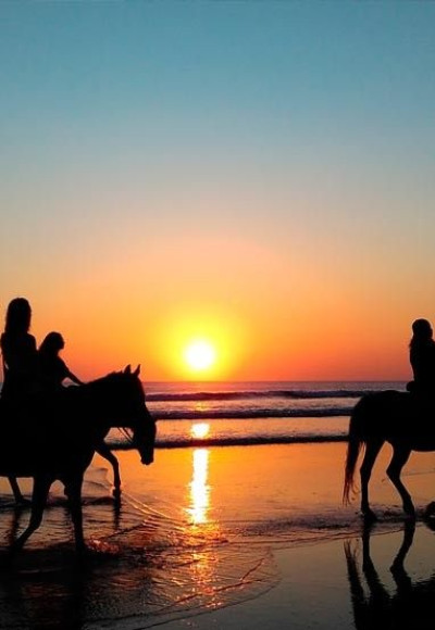 Casas de alquiler en la Costa Atlántica: qué hacer en Pinamar sin auto